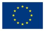 EU Flag image