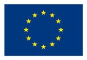 EU Flag image