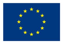 EU Flag image