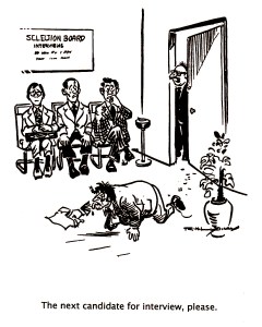 Cartoon Attending Interviews