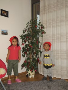 Shalini Shankar Nov 2013