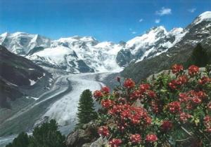 Bernina Range